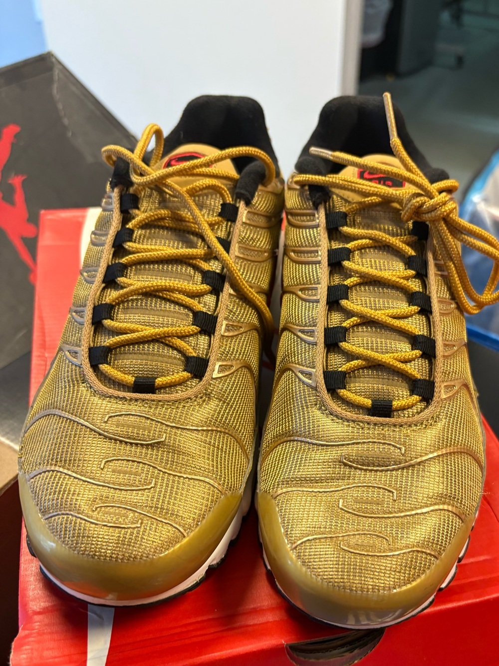Air Max Plus QS